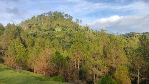 Sakshi Hill Cottage Binsar