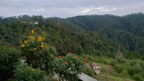 Sakshi Hill Cottage Binsar