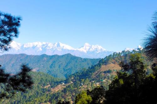 Sakshi Hill Cottage Binsar